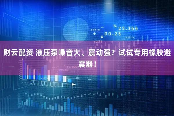 财云配资 液压泵噪音大、震动强？试试专用橡胶避震器！