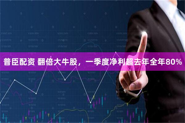 普臣配资 翻倍大牛股，一季度净利超去年全年80%